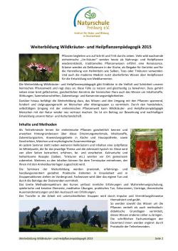 Wildkräuter- und Heilpflanzenpädagogik 2015