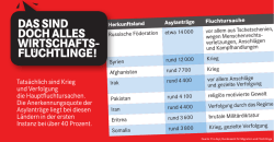 Infografik_03