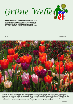 Ausgabe Frühling 2015 - Kreisverband Regensburg