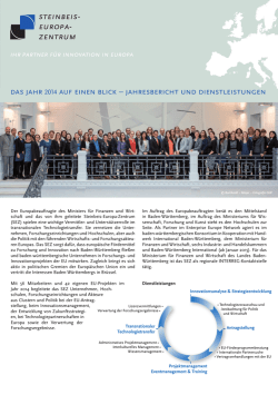 Deutscher - Steinbeis-Europa