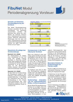 FibuNet Periodenabgrenzung Vorsteuer