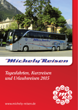 Michely Broschüre online.indd