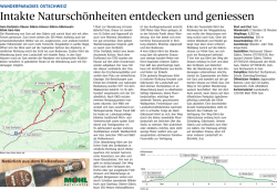 Jetzt herunterladen! - St. Galler Tagblatt