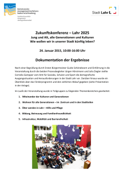 Dokumentation Zukunftskonferenz (application/pdf)