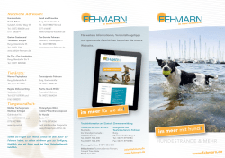 im meer mit hund ! im meer f&uuml;r sie da !