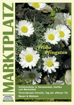 Ausgabe 170 (Web) - Marktplatz Harsewinkel