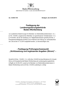 Festlegung Pr&uuml;fungsschwerpunkt