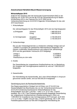 Wirtschaftsplan 2015
