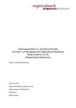 Informationsblatt zu &bdquo;Anschlussschr&auml;nke im Freien&ldquo;