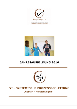 VI-Systemische Prozessbegleitung Jahrestraining 2016 - Voss