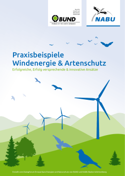 Praxisbeispiele Windenergie & Artenschutz