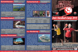 HFS-Flyer-2015-1 - Handball