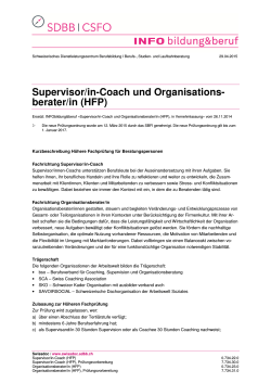 Supervisor/in-Coach und Organisations