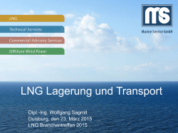 LNG Lagerung und Transport - BTO Management Consulting