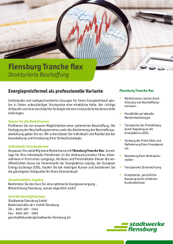 Flensburg Tranche flex