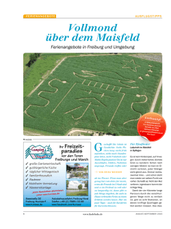 PDF-Download