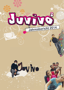 Jahresbericht 2014 JUVIVO 03