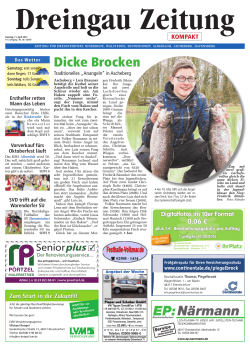 Ausgabe als PDF