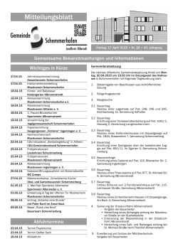 Mitteilungsblatt Nr. 16 - Gemeinde Schemmerhofen