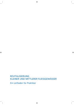 revitalisierung kleiner und mittlerer fliessgew&auml;sser