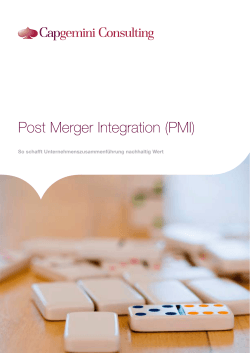 Post Merger Integration (PMI)