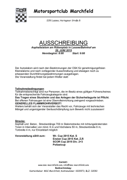Autoslalom Lassee 20.06.2015