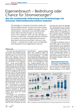 eigenverbrauch &ndash; Bedrohung oder chance