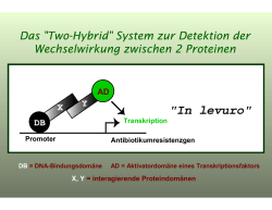 Das "Two-Hybrid" System zur Detektion der Wechselwirkung