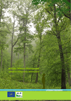 Laienbericht - Wälder, Wiesen, wundervoll – der Steigerwaldrand