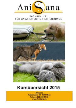 PDF Übersicht 2015 - Mensch- Hund