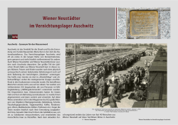 Wiener Neustädter im Vernichtungslager Auschwitz