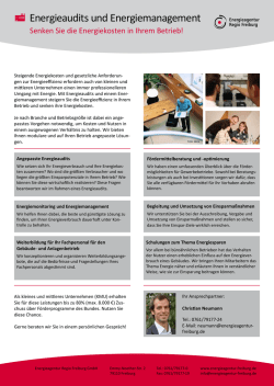 Energieaudits und Energiemanagement