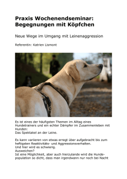 Hundebegegnungen mit K&ouml;pfchen neue Wege im Umgang mit