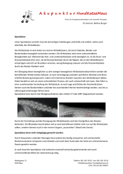 Spondylose - HundKatzeMaus