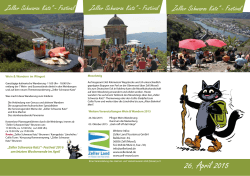 Flyer: "Zeller Schwarze Katz"- Festival als PDF-Datei