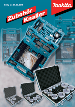 G&uuml;ltig bis 31.03.2015 - Werkzeug Schmidt GmbH