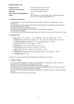 Hindernislauf - DTK Landesverband Rheinland