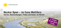 Flyer Neckar Open im April