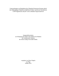Dokument 1 - Gie&szlig;ener Elektronische Bibliothek - Justus