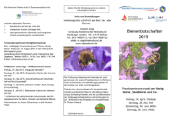 Download: Flyer Bienenbotschafter 2015