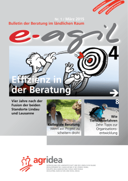 Effizienz in der Beratung &rarr; - UFA