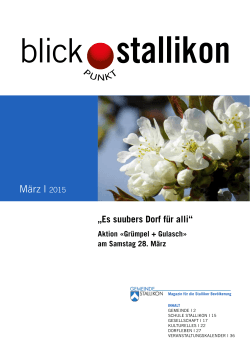 PDF, 2.00 MB - Gemeinde Stallikon