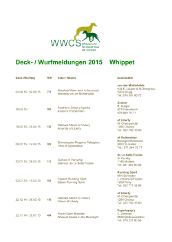 Deck- / Wurfmeldungen 2014/15 Whippet