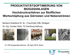 Produktivitätsoptimierung von Biogasanlagen