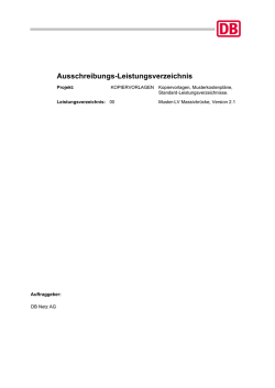 Ausschreibungs-Leistungsverzeichnis