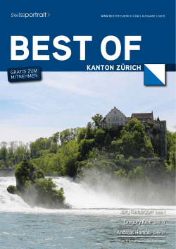 KANTON ZÜRICH - Home > best of, Swissportrait von Miplan AG
