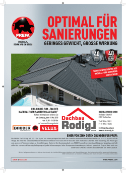 Indi Flyer Dachsanierung_D.indd