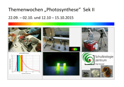 Photosynthese - Schulbiologiezentrum Hannover