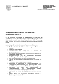 Hinweise_zur_elektron_Antragstellung.16137907