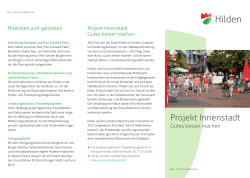 Flyer "Projekt Innenstadt"